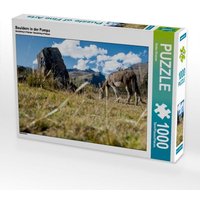 Bouldern in der Pampa (Puzzle) von Calvendo Puzzle