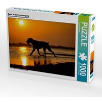 Boxer im Sonnenuntergang (Puzzle) von Calvendo Puzzle