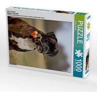 Boxer mit Blumen, 1000 Teile Boxer mit Blumen, 1000 Teile von Calvendo Puzzle
