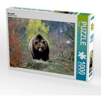 Braunbär (Puzzle) von Calvendo Puzzle