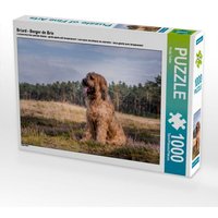 Briard - Berger de Brie (Puzzle) von Calvendo Puzzle