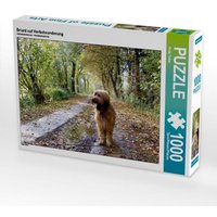 Briard auf Herbstwanderung (Puzzle) von Calvendo Puzzle