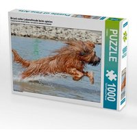 Briard voller Lebensfreude beim spielen (Puzzle) von Calvendo Puzzle