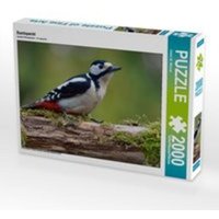 Buntspecht (Puzzle) von Calvendo