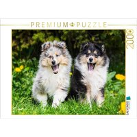 CALVENDO Puzzle 7 Wochen alte Welpen 2000 Teile Lege-Größe 90 × 67 cm Foto-Puzzle für glückliche Stunden CALVENDO Puzzle 7 Wochen alte Welpen 2000 Teile Lege-Größe 90 × 67 cm Foto-Puzzle für glückliche Stunden von Calvendo Puzzle
