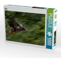 CALVENDO Puzzle Adler 1000 Teile Lege-Größe 64 x 48 cm Foto-Puzzle Bild von Ursula Di Chito von xxx