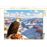CALVENDO Puzzle Adler über dem Grand Canyon: Stolz Amerikas im Winterglanz 2000 Teile Lege-Größe 90x67cm Foto-Puzzle für glückliche Stunden CALVENDO Puzzle Adler über dem Grand Canyon: Stolz Amerikas im Winterglanz 2000 Teile Lege-Größe 90x67cm Foto-Puzzle für glückliche Stunden von Calvendo Puzzle