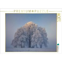 CALVENDO Puzzle Amalienhöhe Heiligenberg, Linzgau 1000 Teile Lege-Größe 64x48cm Foto-Puzzle für glückliche Stunden von Calvendo Puzzle