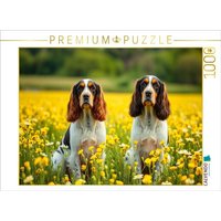 CALVENDO Puzzle American Cocker Spaniel 1000 Teile Lege-Größe 64x48cm Foto-Puzzle für glückliche Stunden von Calvendo Puzzle