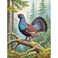CALVENDO Puzzle Auerhahn - seltener Vogel als Gemälde 1000 Teile Lege-Größe 64x48cm Foto-Puzzle für glückliche Stunden von Calvendo Puzzle
