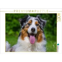 CALVENDO Puzzle Australian Shepherd Porträt 1000 Teile Lege-Größe 64x48cm Foto-Puzzle für glückliche Stunden von CALVENDO Verlag GmbH
