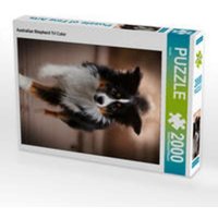 CALVENDO Puzzle Australian Shepherd Tri Color 2000 Teile Lege-Größe 90 × 67 cm Foto-Puzzle für glückliche Stunden von Calvendo Puzzle