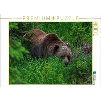 CALVENDO Puzzle Bär im Grünen 1000 Teile Lege-Größe 64x48cm Foto-Puzzle für glückliche Stunden CALVENDO Puzzle Bär im Grünen 1000 Teile Lege-Größe 64x48cm Foto-Puzzle für glückliche Stunden von Calvendo Puzzle
