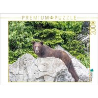 CALVENDO Puzzle Bär vor dem grünen Wald 2000 Teile Lege-Größe 90 × 67 cm Foto-Puzzle für glückliche Stunden CALVENDO Puzzle Bär vor dem grünen Wald 2000 Teile Lege-Größe 90 × 67 cm Foto-Puzzle für glückliche Stunden von Calvendo Puzzle