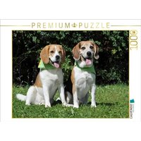 CALVENDO Puzzle Beagle Pärchen 1000 Teile Lege-Größe 64x48cm Foto-Puzzle für glückliche Stunden von CALVENDO Verlag GmbH