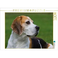 CALVENDO Puzzle Beagle Porträt 1000 Teile Lege-Größe 64x48cm Foto-Puzzle für glückliche Stunden von CALVENDO Verlag GmbH
