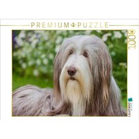 CALVENDO Puzzle Bearded Collie Hündin 1000 Teile Lege-Größe 64x48cm Foto-Puzzle für glückliche Stunden von CALVENDO Verlag GmbH