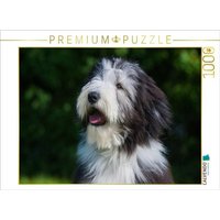 CALVENDO Puzzle Bearded Collie Welpe Porträt 1000 Teile Lege-Größe 64x48cm Foto-Puzzle für glückliche Stunden von CALVENDO Verlag GmbH