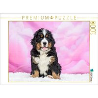 CALVENDO Puzzle Berner Sennenhund Baby 1000 Teile Lege-Größe 64x48cm Foto-Puzzle für glückliche Stunden CALVENDO Puzzle Berner Sennenhund Baby 1000 Teile Lege-Größe 64x48cm Foto-Puzzle für glückliche Stunden von Calvendo Puzzle