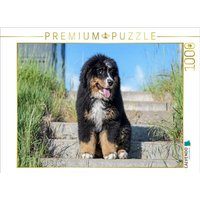 CALVENDO Puzzle Berner Sennenhund Welpe 1000 Teile Lege-Größe 64x48cm Foto-Puzzle für glückliche Stunden von Calvendo Puzzle