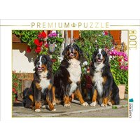 CALVENDO Puzzle Berner Sennenhunde vor einem Bauernhaus 1000 Teile Lege-Größe 64x48cm Foto-Puzzle für glückliche Stunden von CALVENDO Verlag GmbH