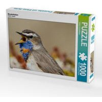 CALVENDO Puzzle Blaukehlchen 1000 Teile Lege-Größe 64 x 48 cm Foto-Puzzle Bild von Johann Schörkhuber von Calvendo