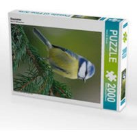 CALVENDO Puzzle Blaumeise 2000 Teile Lege-Größe 90x67cm Foto-Puzzle für glückliche Stunden von Calvendo Puzzle