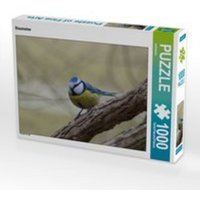 CALVENDO Puzzle Blaumeise 1000 Teile Lege-Größe 64 x 48 cm Foto-Puzzle Bild von kattobello von Calvendo Puzzle