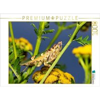 CALVENDO Puzzle Blütenmantis 1000 Teile Lege-Größe 64x48cm Foto-Puzzle für glückliche Stunden von Calvendo Puzzle
