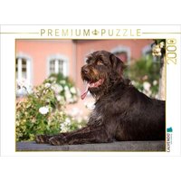 CALVENDO Puzzle Böhmisch Rauhbart 2000 Teile Puzzle quer 2000 Teile Lege-Größe 90 × 67 cm Foto-Puzzle für glückliche Stunden von Calvendo Puzzle