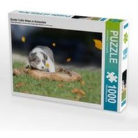 CALVENDO Puzzle Border Collie Welpe in Holzschale 1000 Teile Lege-Größe 64 x 48 cm Foto-Puzzle Bild von Andrea Mayer Tierfotografie CALVENDO Puzzle Border Collie Welpe in Holzschale 1000 Teile Lege-Größe 64 x 48 cm Foto-Puzzle Bild von Andrea Mayer Tierfotografie von Calvendo Puzzle