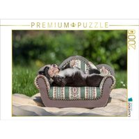 CALVENDO Puzzle Border Collie Welpe liegt auf kleinem Sofa 2000 Teile Lege-Größe 90 × 67 cm Foto-Puzzle für glückliche Stunden CALVENDO Puzzle Border Collie Welpe liegt auf kleinem Sofa 2000 Teile Lege-Größe 90 × 67 cm Foto-Puzzle für glückliche Stunden von Calvendo Puzzle