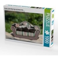 CALVENDO Puzzle Border Collie Welpe liegt auf kleinem Sofa 1000 Teile Lege-Größe 64 x 48 cm Foto-Puzzle Bild von Andrea Mayer Tierfotografie von Calvendo Puzzle