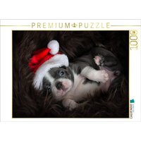 CALVENDO Puzzle Boston-Terrier 1000 Teile Lege-Größe 64x48cm Foto-Puzzle für glückliche Stunden CALVENDO Puzzle Boston-Terrier 1000 Teile Lege-Größe 64x48cm Foto-Puzzle für glückliche Stunden von CALVENDO Verlag GmbH