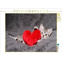 CALVENDO Puzzle Britisch Kurzhaar Kätzchen 1000 Teile Lege-Größe 64x48cm Foto-Puzzle für glückliche Stunden von CALVENDO Verlag GmbH