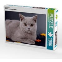 CALVENDO Puzzle Britisch Kurzhaar Katzen 1000 Teile Lege-Größe 64 x 48 cm Foto-Puzzle Bild von Gabriela Wejat-Zaretzke von Calvendo Puzzle