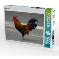CALVENDO Puzzle Bunter Hahn 1000 Teile Lege-Größe 64 x 48 cm Foto-Puzzle Bild von kattobello von Calvendo Puzzle
