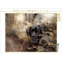 CALVENDO Puzzle Cane Corso 1000 Teile Lege-Größe 64x48cm Foto-Puzzle für glückliche Stunden von Calvendo Puzzle