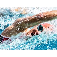 CALVENDO Puzzle Catch-Up-Drill: Schwimmen im Kraul-Stil 1000 Teile Lege-Größe 64x48cm Foto-Puzzle für glückliche Stunden CALVENDO Puzzle Catch-Up-Drill: Schwimmen im Kraul-Stil 1000 Teile Lege-Größe 64x48cm Foto-Puzzle für glückliche Stunden von Calvendo Puzzle