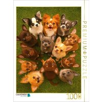 CALVENDO Puzzle Chihuahua Diamonds - Kleine Freunde mit großen Augen 1000 Teile Lege-Größe 64x48cm Foto-Puzzle für glückliche Stunden von Calvendo Puzzle