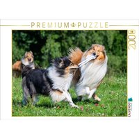 CALVENDO Puzzle Collies sind verspielt 2000 Teile Lege-Größe 90x67cm Foto-Puzzle für glückliche Stunden von Calvendo Puzzle