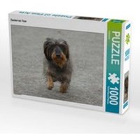 CALVENDO Puzzle Dackel on Tour 1000 Teile Lege-Größe 64 x 48 cm Foto-Puzzle Bild von Kattobello von Calvendo Puzzle