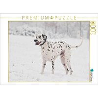 CALVENDO Puzzle Dalmatiner im Schnee 1000 Teile Lege-Größe 64x48cm Foto-Puzzle für glückliche Stunden von CALVENDO Verlag GmbH