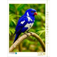 CALVENDO Puzzle Der Ultramarinlorikeet (Vini ultramarina) 1000 Teile Lege-Größe 64x48cm Foto-Puzzle für glückliche Stunden von Calvendo Puzzle