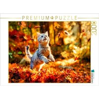 CALVENDO Puzzle Der kleine Räuber 2000 Teile Lege-Größe 90 × 67 cm Foto-Puzzle für glückliche Stunden CALVENDO Puzzle Der kleine Räuber 2000 Teile Lege-Größe 90 × 67 cm Foto-Puzzle für glückliche Stunden von Calvendo Puzzle