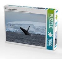 CALVENDO Puzzle Die Antarktis / CH-Version, Lege-Größe 64 x 48 cm Foto-Puzzle Bild von Roland Brack von xxx