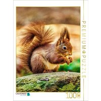 CALVENDO Puzzle Die dunklen, glänzenden Augen des Eichhörnchens sind aufmerksam auf sein Futter gerichtet, während seine kleinen Ohren mit feinen Haar von Calvendo Puzzle