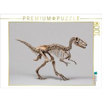 CALVENDO Puzzle Dinosaurier Velociraptor-Skelett - kleiner Raubsaurier mit langen Krallen 1000 Teile Lege-Größe 64x48cm Foto-Puzzle für glückliche S CALVENDO Puzzle Dinosaurier Velociraptor-Skelett - kleiner Raubsaurier mit langen Krallen 1000 Teile Lege-Größe 64x48cm Foto-Puzzle für glückliche S von Calvendo Puzzle