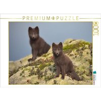 CALVENDO Puzzle Doppelgänger 1000 Teile Lege-Größe 64x48cm Foto-Puzzle für glückliche Stunden von Calvendo Puzzle