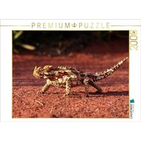 CALVENDO Puzzle Dornteufel im australischen Outback 2000 Teile Lege-Größe 90 × 67 cm Foto-Puzzle für glückliche Stunden CALVENDO Puzzle Dornteufel im australischen Outback 2000 Teile Lege-Größe 90 × 67 cm Foto-Puzzle für glückliche Stunden von Calvendo Puzzle